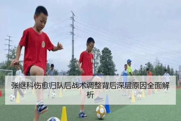 张继科伤愈归队后战术调整背后深层原因全面解析